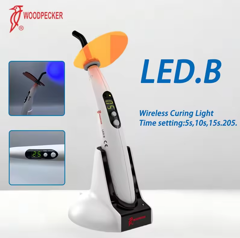 Luz de curado Dental pájaro ca - Resin Curing Station reseña y precio